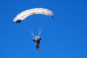 “南非羚羊队的强大阵容：萨尔·巴赫和其他新星的完美搭档”