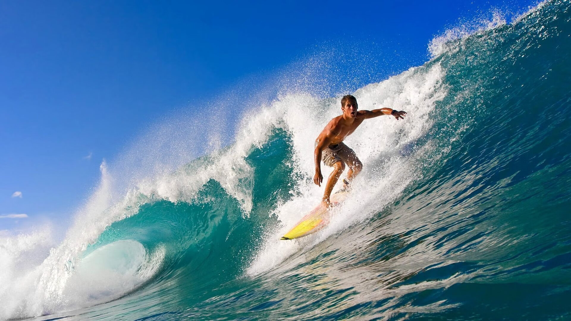 校园体育活动对学生心理健康促进作用研究，体育活动对大学生心理健康的影响